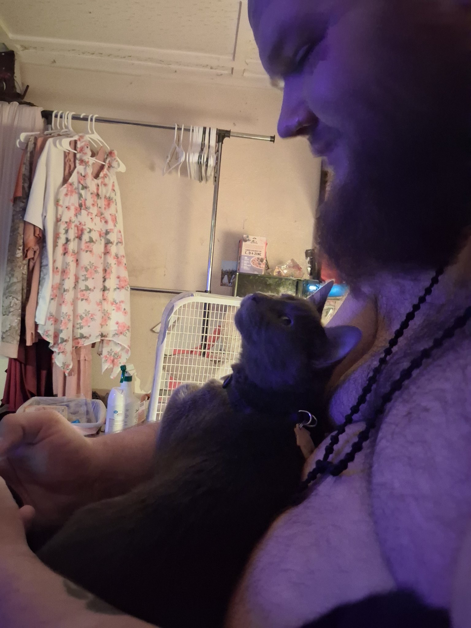 Ruthlynn’s husband holding their gray cat in purple-tinted indoor light