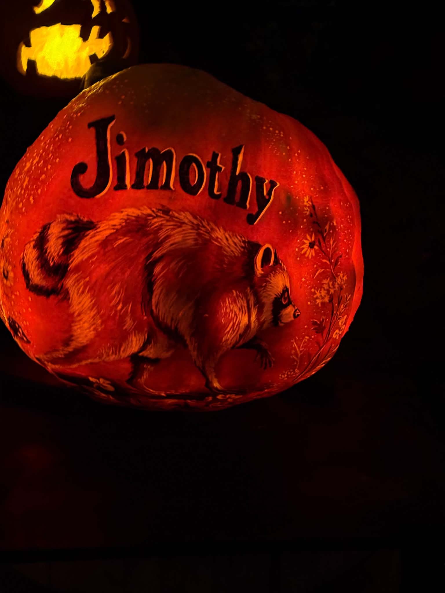Jimothy the raccoon pumpkin display glowing at night