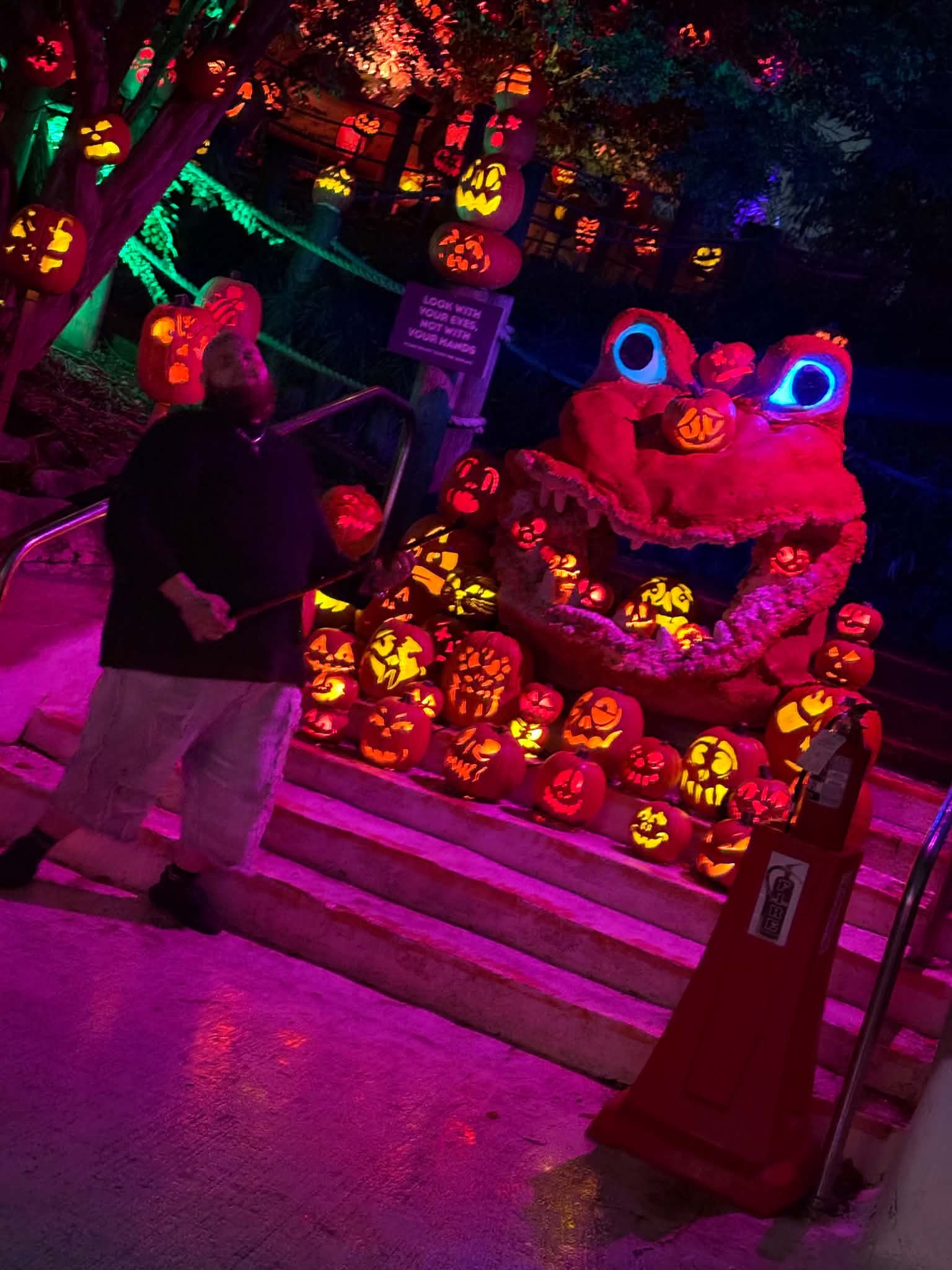 Frog-like pumpkin creature display surrounded by glowing carved pumpkins